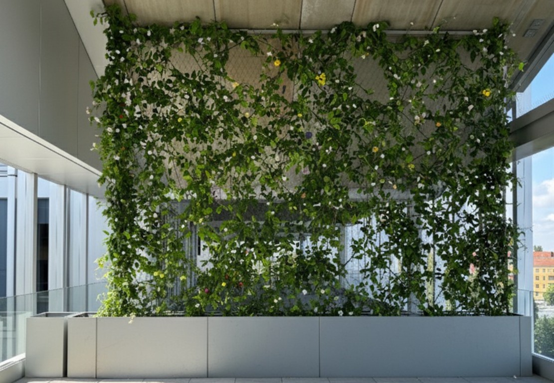 Inox-Net - Sonne Insel Project