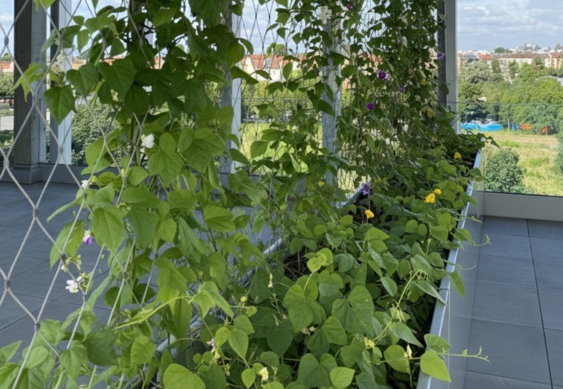 Inox-Net - Sonne Insel Project
